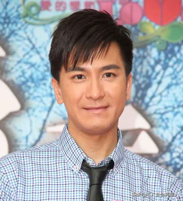 对自己简短的励志谈话，对自己简短的励志谈话稿（TVB小生也老得快）