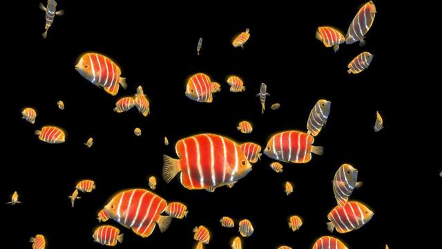 雪龙鱼的做法和配方，鳕鱼的烹饪方法（一条鱼抵得上一栋别墅）