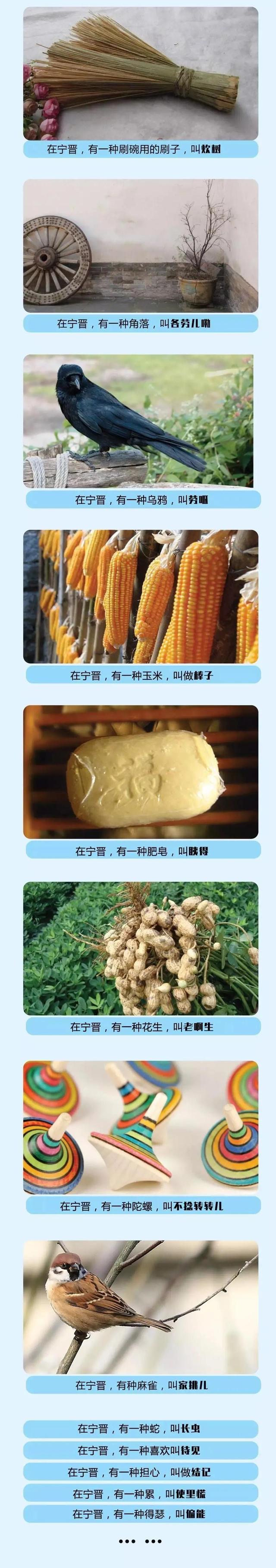 522是什么意思，1314522是什么意思（之大宁晋方言你知道多少）