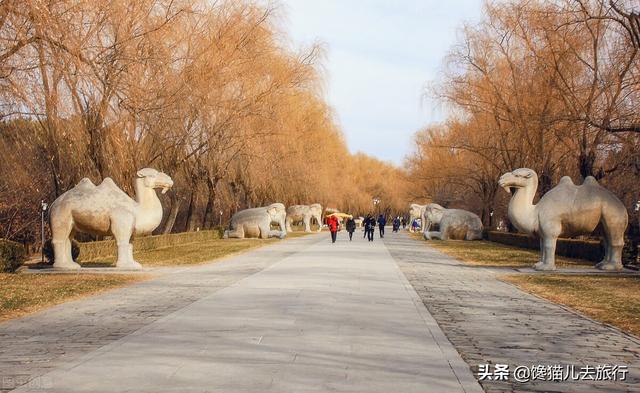 为什么十三陵只开放三个陵墓，武则天之墓为何挖不开（只有一个地宫对外开放）