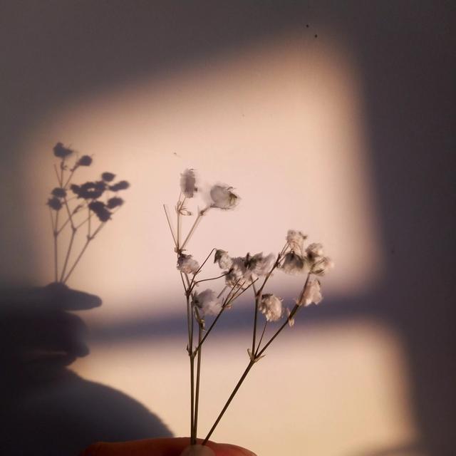 日落在爱情里的寓意，黄昏在爱情里代表什么（再见和日落的寓意都是未完待续）