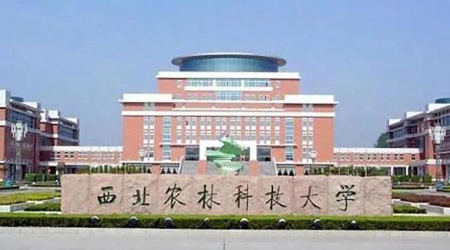 沈阳农业大学电气工程及其自动化怎么样啊，沈阳农业大学有哪些专业和院系（优势专业不及热门专业）