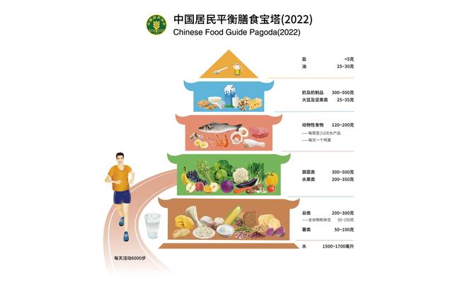 营养膳食金字塔，营养金字塔饮食结构是什么（2022年最新版膳食宝塔一定要收藏）