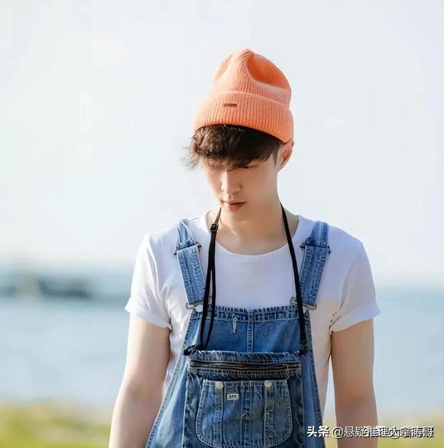 里脊肉是鸡肉吗，小摊上吃的里脊肉是鸡肉吗（《向往的生活6》张艺兴分不清猪肉和里脊肉）