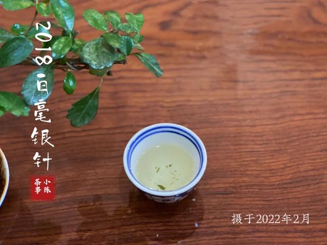 白毫银针茶的冲泡比例，白毫银针投茶比例（要“快出水”还是“闷泡”）