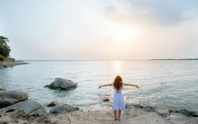 关于汉字的故事，关于汉字的故事100字（刘伯温的三个寓言故事）