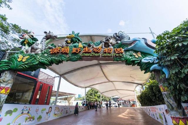 广东旅游：深圳野生动物园有多少种动物？有没有大熊猫？