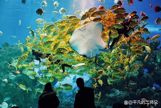 芜湖景点有哪些值得去玩的，芜湖必去的景点（这里经典必游的六个地方）