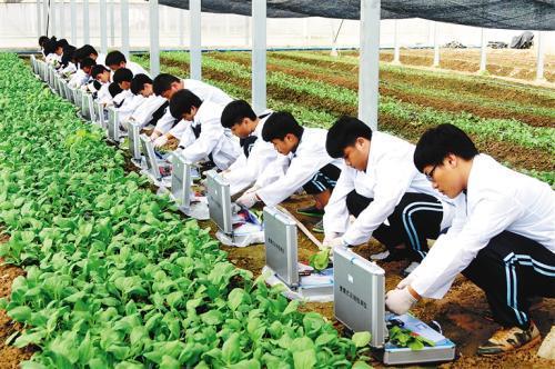 植物保护专业就业前景，植物保护专业就业前景与就业方向（看似冷门的农学专业）