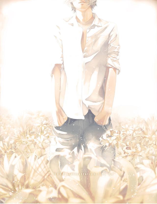 光影美，光影美学概念（淡淡的色彩表达颇具美感图片）