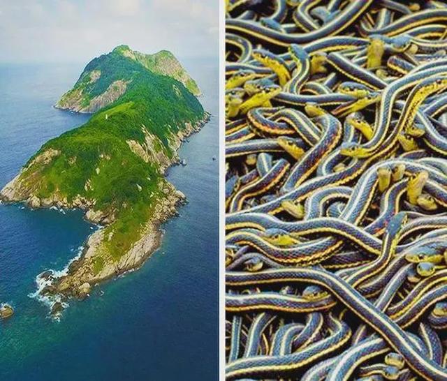 世界上最恐怖的地方，世界上最恐怖的十大地方在哪里（世界上最危险的目的地）