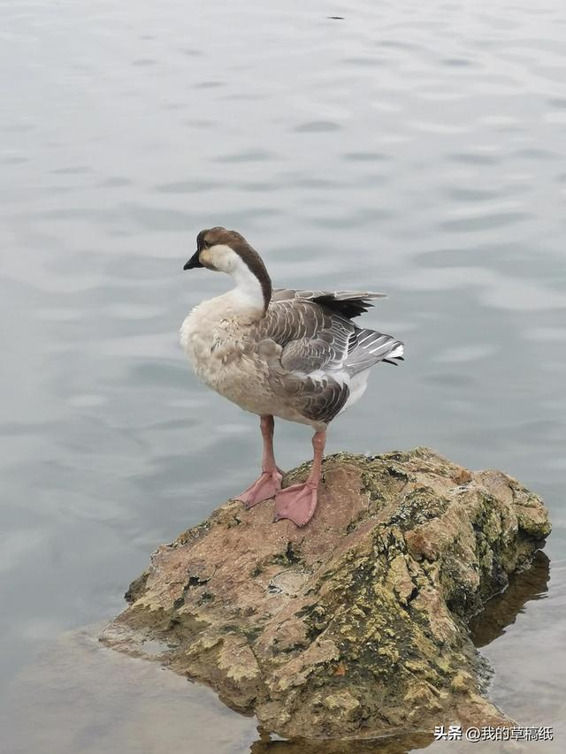 十一假期出游可畅玩银杏湖乐园，湖光山色风景迷人