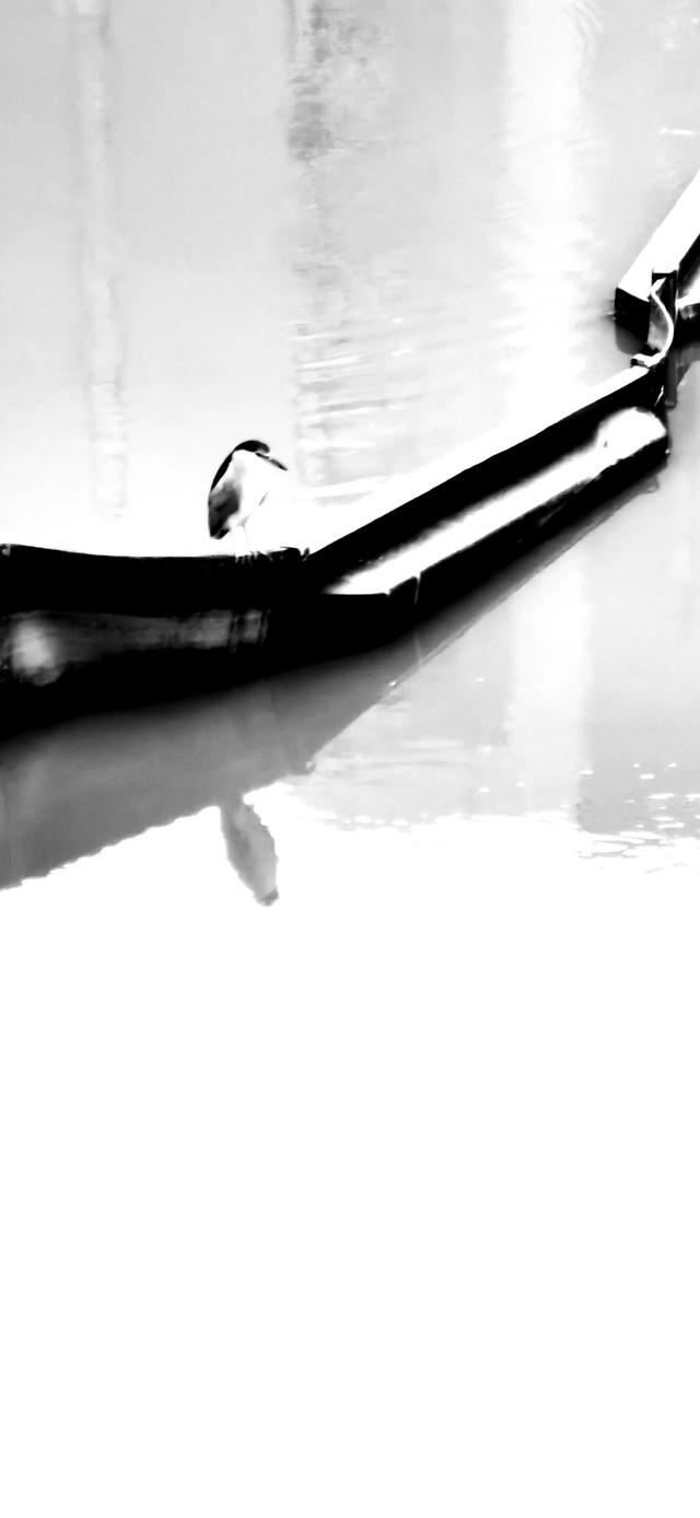 适马dp1，适马Dp1改口后配什么镜头（是时候考虑相机升级或更新的最终解决方案了）