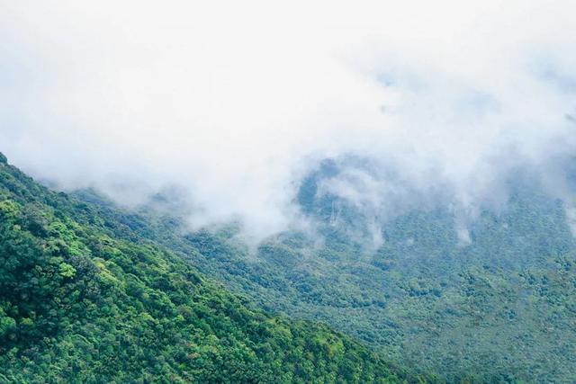 深圳好玩的免费景点，深圳哪里好玩的景点（来深圳这10个地方免费玩）