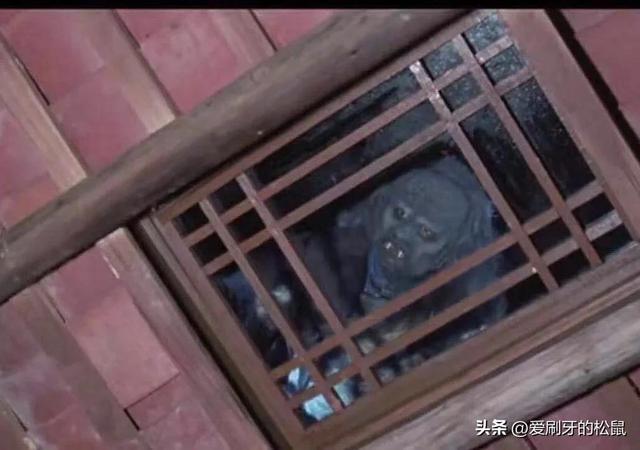 对女生没兴趣是怎么回事，对女生不感兴趣是怎么回事（朋友们我现在对女人没兴趣了怎么办）