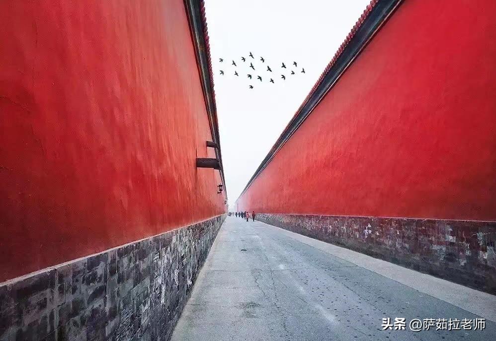 职业理想的特点(职业理想是什么)