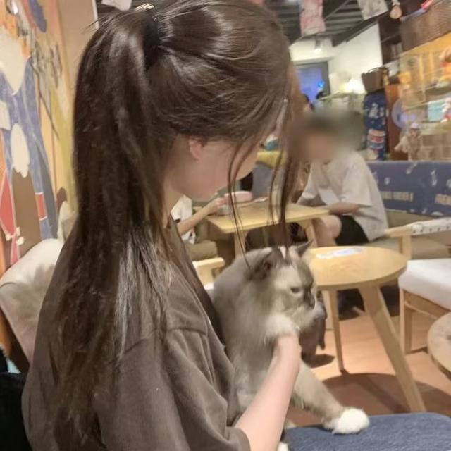 可爱女网图，微信头像，可爱女网图（2022更新可爱女生头像）