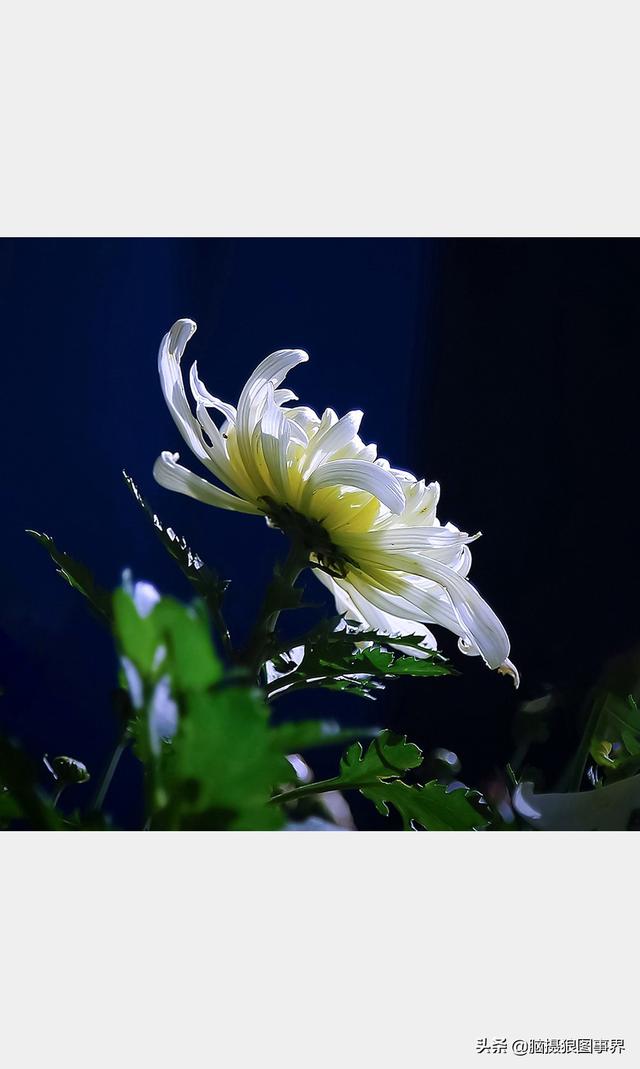 高光质感背景图，高清高级感背景图（若有这6个错误的深色背景照片）