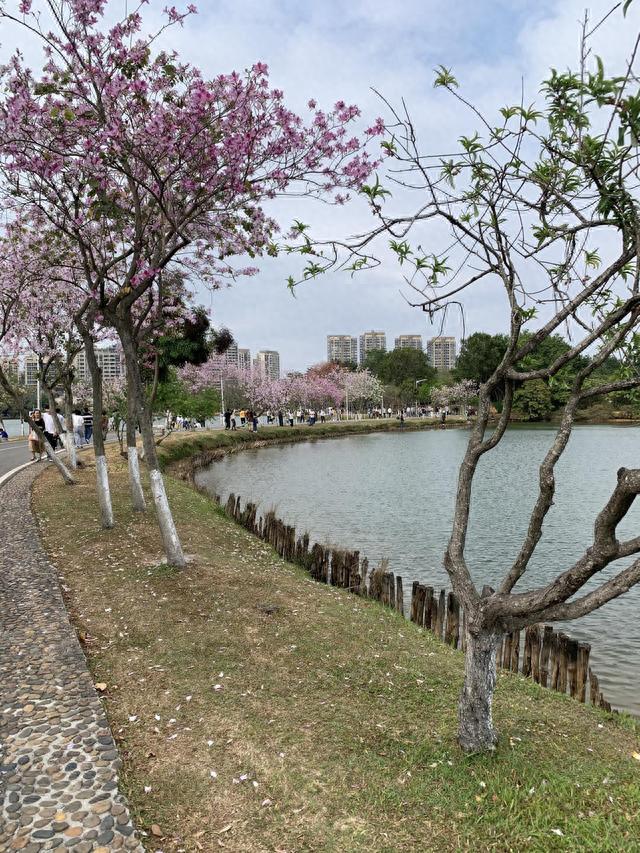 广东东莞松山湖一日游攻略