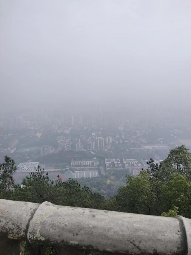 歌乐山森林公园，重庆旅游必去景点（歌乐山国家森林公园）
