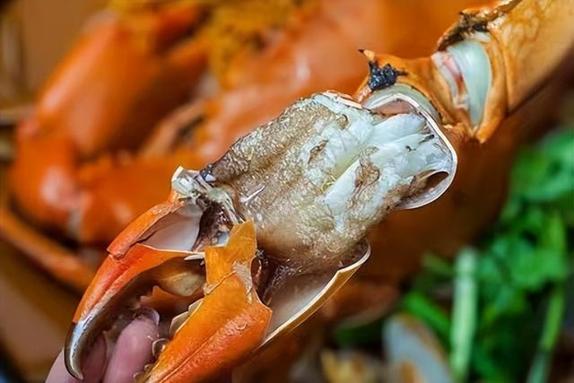 生蚝什么时候最肥，生蚝几月份最肥（福建生蚝几月份最肥）