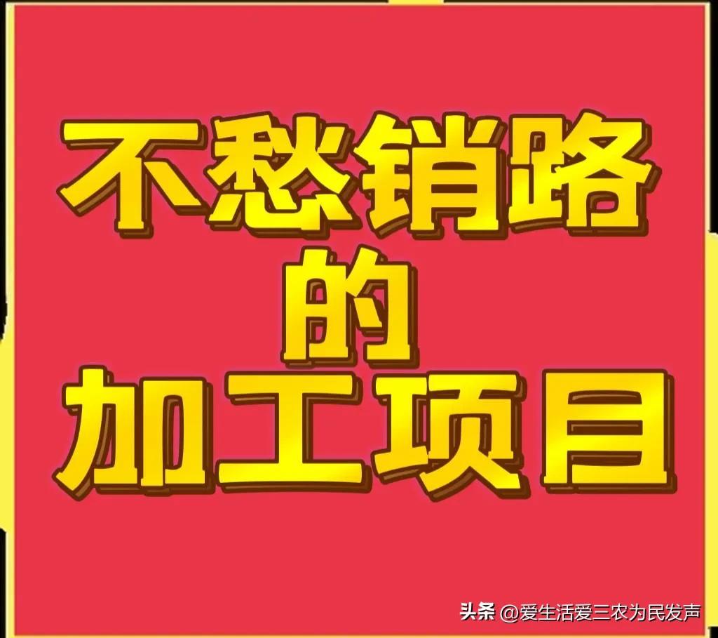 加工项目有哪些（不愁销路的4大加工项目解析）