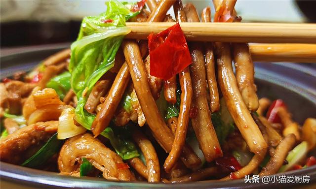 干茶树菇怎么吃，干茶树菇可以怎么吃（教你在家做干锅茶树菇）