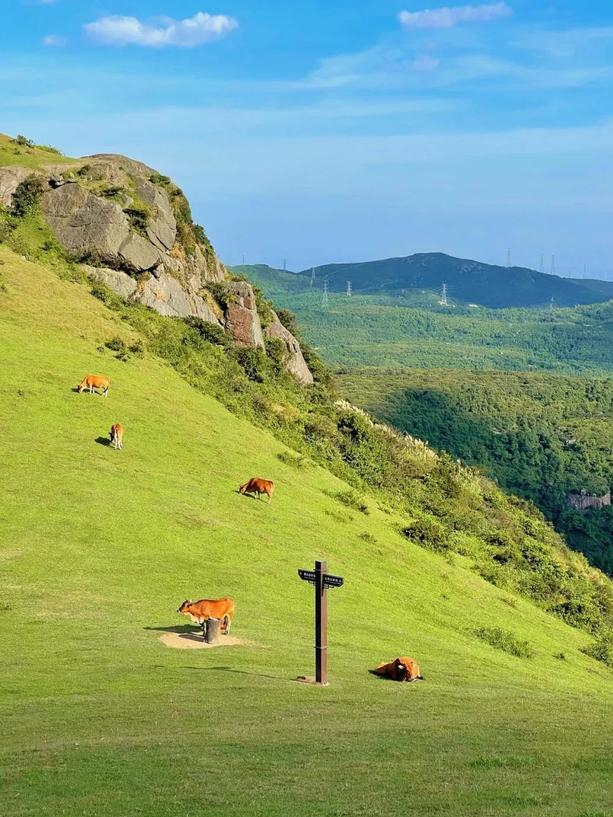 福州旅游必去十大景点，福建旅游必去十大景点有哪些（福州这13个宝藏地方）