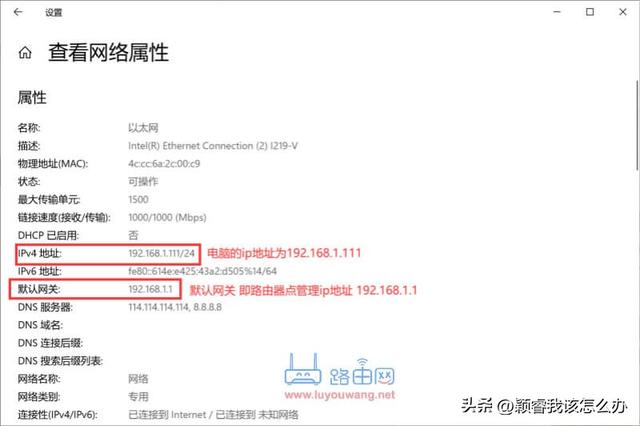 网站的ip地址怎么查看，如何查看某网站服务器的IP地址（怎么查看自己电脑ip地址）