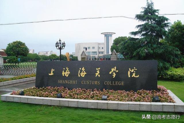 国际商务专业就业前景，国际商务专业未来就业前景和就业方向分析（录取分数堪比“双一流”的二本院校）