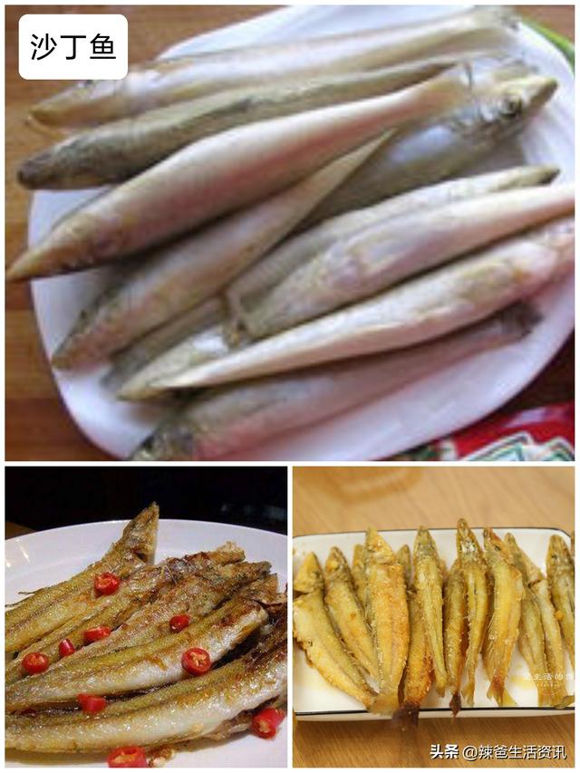 40种“好吃不贵”的野生海鱼（上），附：价格和吃法，请收藏