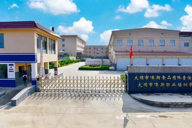 烘培入门，专业的烘焙培训学校解答（烘培入门书）