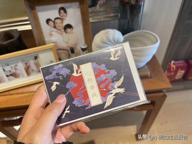 江苏盐城大丰荷兰花海门票，五一就去这里！儿童友好型