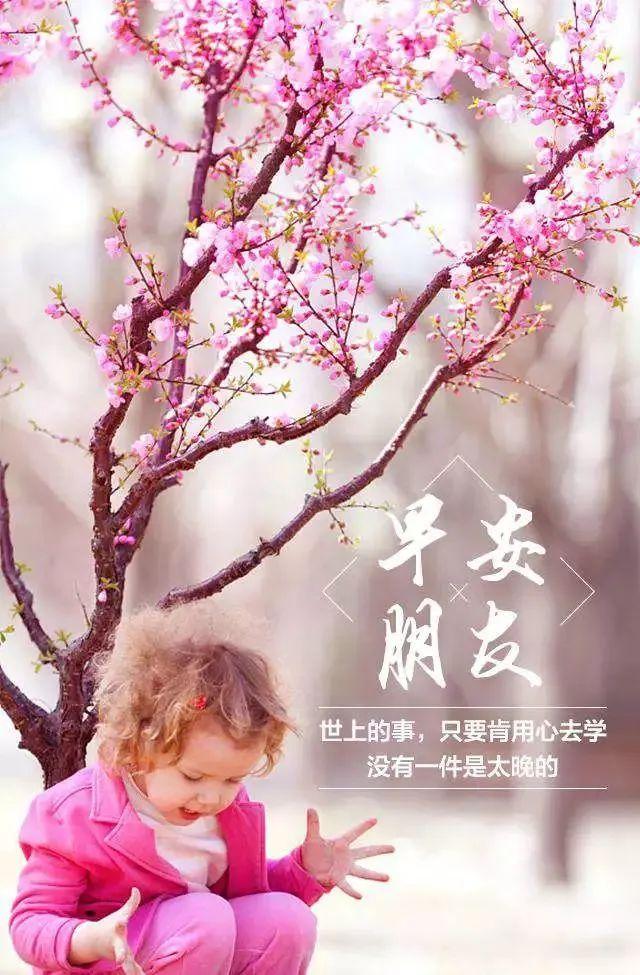 开开心心的句子，开开心心过年的句子发朋友圈（新周早上好动态问候图片优美句子）