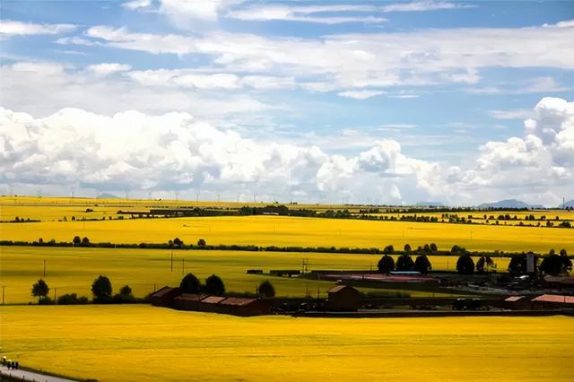 青海省旅游攻略，青海旅游指南（看这篇就够了<深度攻略）