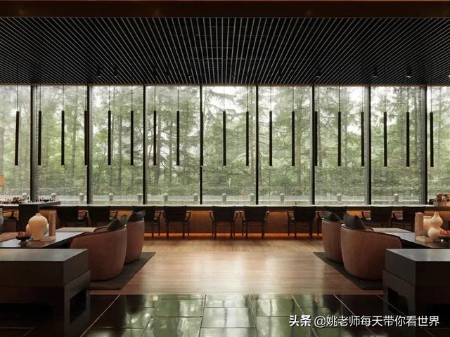 上海外滩半岛酒店，上海婚宴酒店排名（上海酒店的天花板）