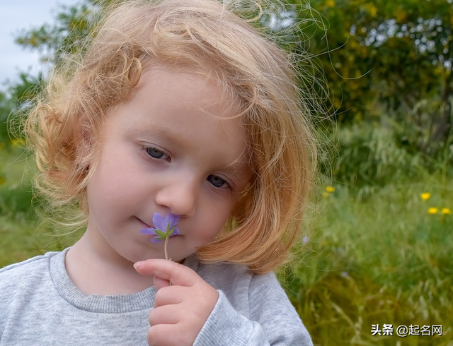 女孩属虎取什么名字最好，属虎的女生取什么名字好（属虎带山字最吉利的女孩名字）