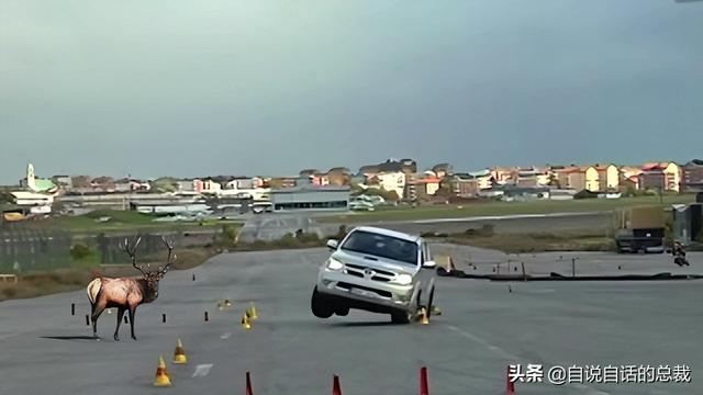 鹿血酒多少钱一瓶，鹿血酒一瓶500ml要多少钱（这是人们认为它是仙兽真正的原因）