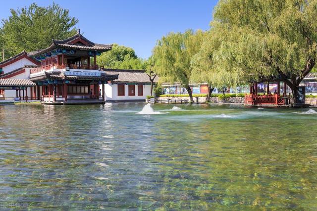 2021年山东高考人数，近5万考生滑档！2021高考山东滑档人数创新高（山东省高考600分以上考生为16931人）