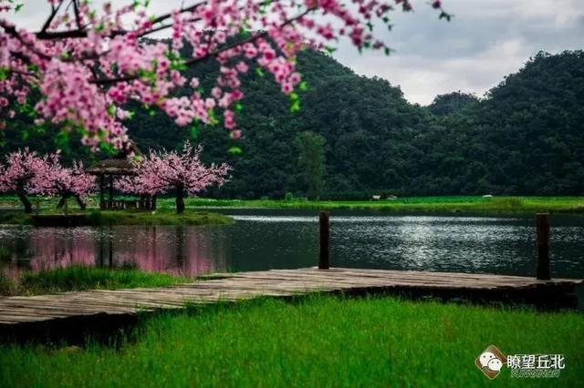 云南花海旅行记，春天，来云南与七彩花海相遇
