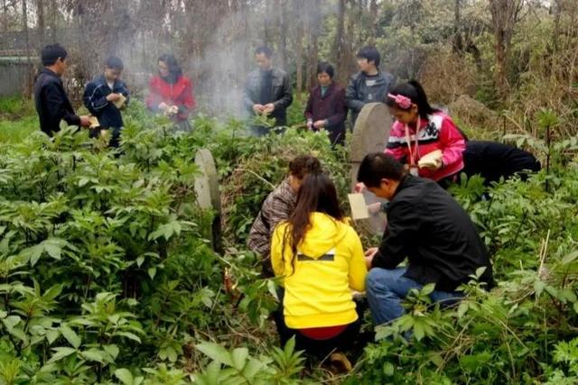 民间俗语顺口溜大全狗进家门，农村俗语“三物进家有财喜