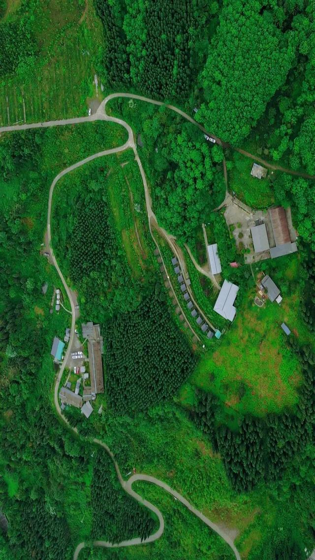 什邡市景点，什邡景点旅游景点（成都周边绝美“禁林”）