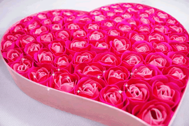 999朵玫瑰，送你999朵动态玫瑰花（999朵玫瑰邰正宵）