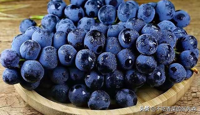 扫墓带什么祭品，扫墓需要准备什么东西（牢记水果“5带4不带”）