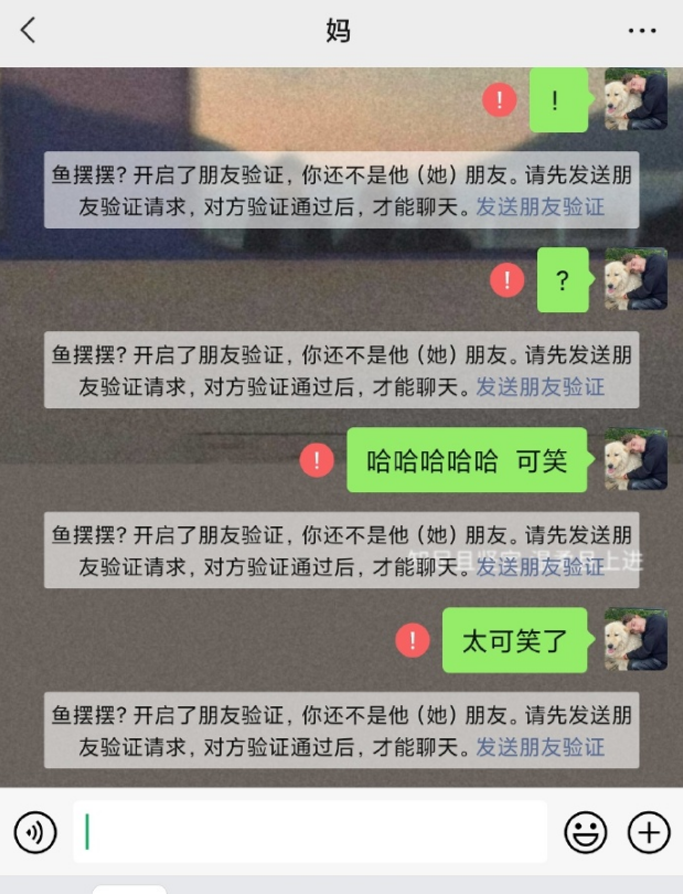 石家庄法商（寻亲少年刘学州身亡）