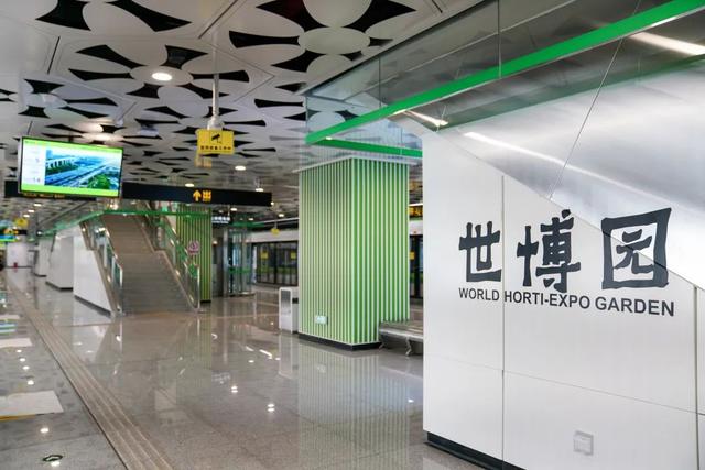 豹龟结石，昆明地铁5号线，首！发！见（肾结石会有啥症状）