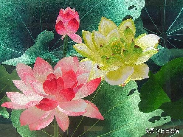 中国民间艺术简单介绍，我国有哪些民间艺术简要介绍（细数二十大中华国粹）