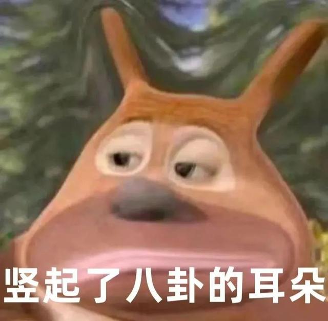 熊熊表情包，熊熊表情包kaoee小图（表情包/谁会拒绝可爱的熊熊呢）