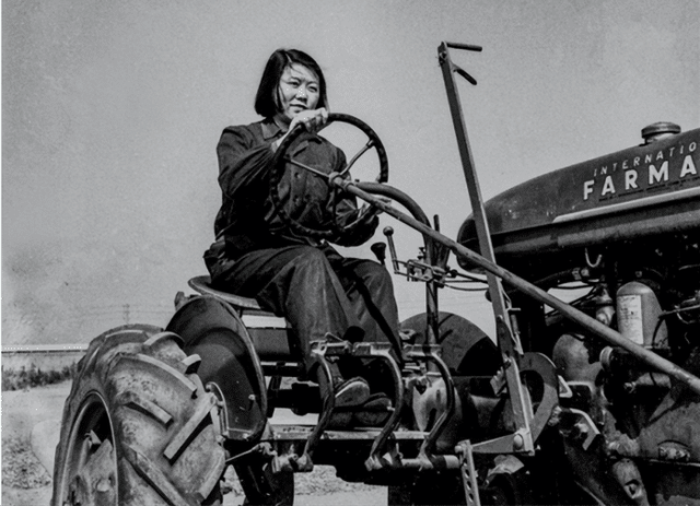 吴亚军家族，吴亚军家族基金（\