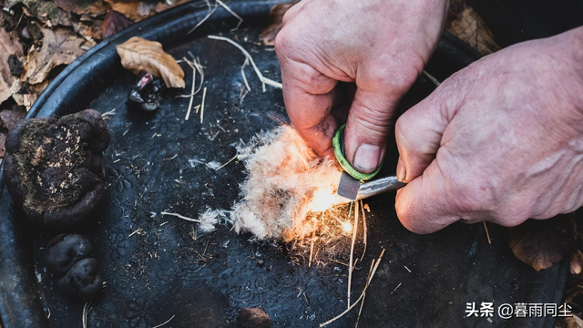 继续活下去的五个故事，关于电影继续活下去的五个故事（告诉我们“生存意志”才是幸存者的生存之法）